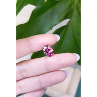 3.83 Ct. Spinel from Burma (Myanmar) Life Style