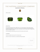 9.67 Ct. Green Chrome Tourmaline from Tanzania Appraisal