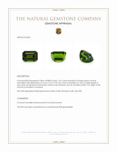 9.67 Ct. Green Chrome Tourmaline from Tanzania Appraisal