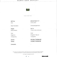 9.67 Ct. Chrome Tourmaline from Tanzania Scan Report