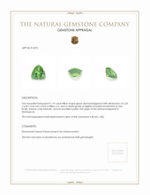 1.19 Ct. Demantoid Garnet from Madagascar Appraisal