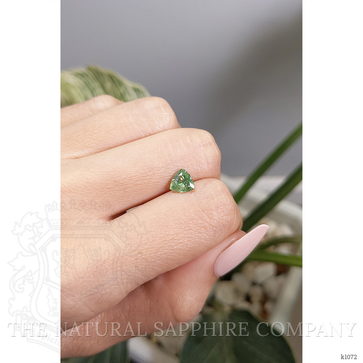 1.19 Ct. Demantoid Garnet from Madagascar