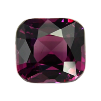 4.90 Ct. Garnet from Ceylon (Sri Lanka) Video