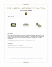 0.18 Ct. Tourmaline from Mozambique Appraisal