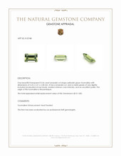 0.36 Ct. Tourmaline from Mozambique Appraisal