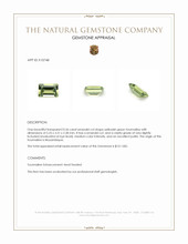 0.36 Ct. Tourmaline from Mozambique Appraisal