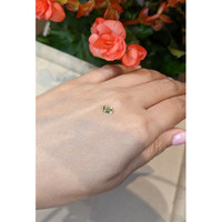 0.36 Ct. Tourmaline from Mozambique Life Style