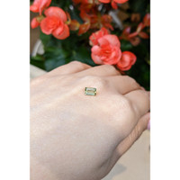 0.55 Ct. Tourmaline from Mozambique Life Style