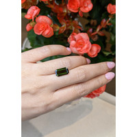 3.91 Ct. Tourmaline from Mozambique Life Style