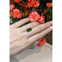 3.95 Ct. Tourmaline from Mozambique Life Style