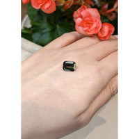 2.92 Ct. Tourmaline from Mozambique Life Style