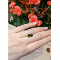 2.94 Ct. Tourmaline from Mozambique Life Style