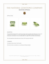 0.81 Ct. Green Tourmaline from Mozambique Appraisal