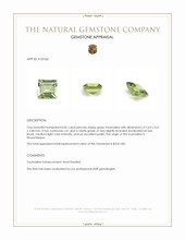 0.81 Ct. Tourmaline from Mozambique Appraisal