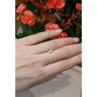 0.81 Ct. Tourmaline from Mozambique Life Style