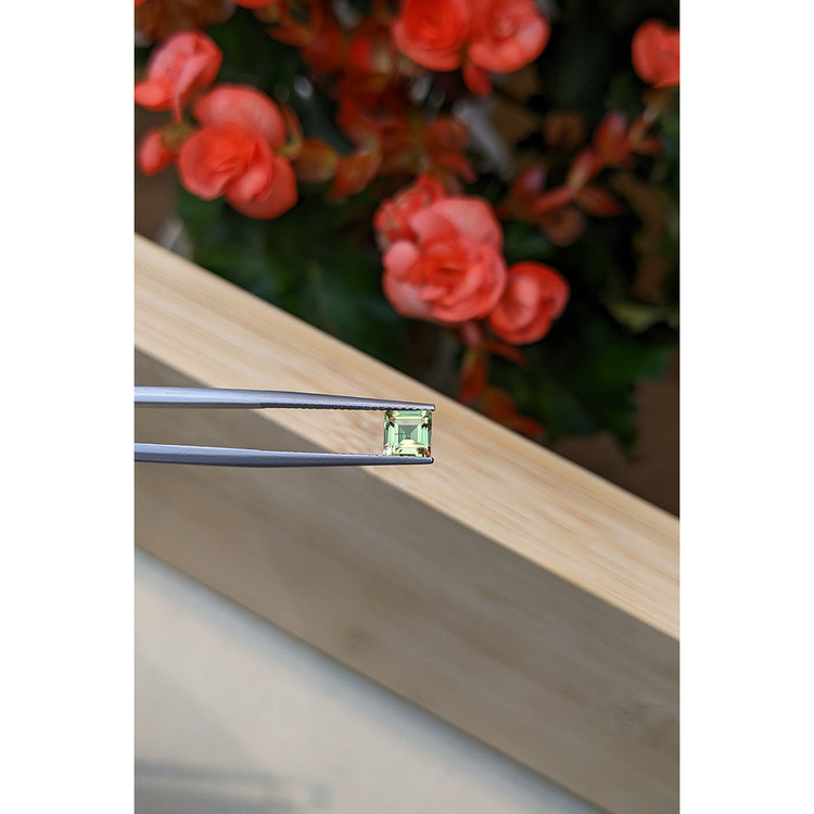 0.81 Ct. Tourmaline from Mozambique