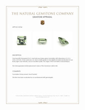 0.61 Ct. Green Tourmaline from Mozambique Appraisal