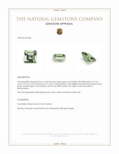 0.61 Ct. Tourmaline from Mozambique Appraisal