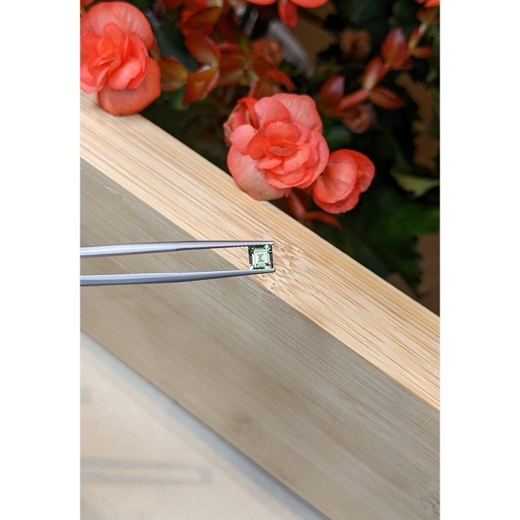 0.61 Ct. Tourmaline from Mozambique