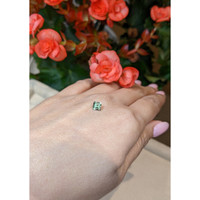 0.61 Ct. Tourmaline from Mozambique Life Style