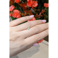 0.43 Ct. Tourmaline from Mozambique Life Style