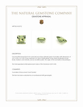 0.42 Ct. Tourmaline from Mozambique Appraisal