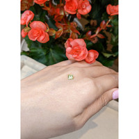 0.42 Ct. Tourmaline from Mozambique Life Style