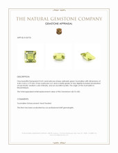 0.42 Ct. Yellowish Green Tourmaline from Mozambique Appraisal