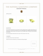 0.42 Ct. Tourmaline from Mozambique Appraisal