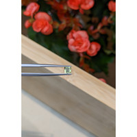 0.42 Ct. Tourmaline from Mozambique Life Style