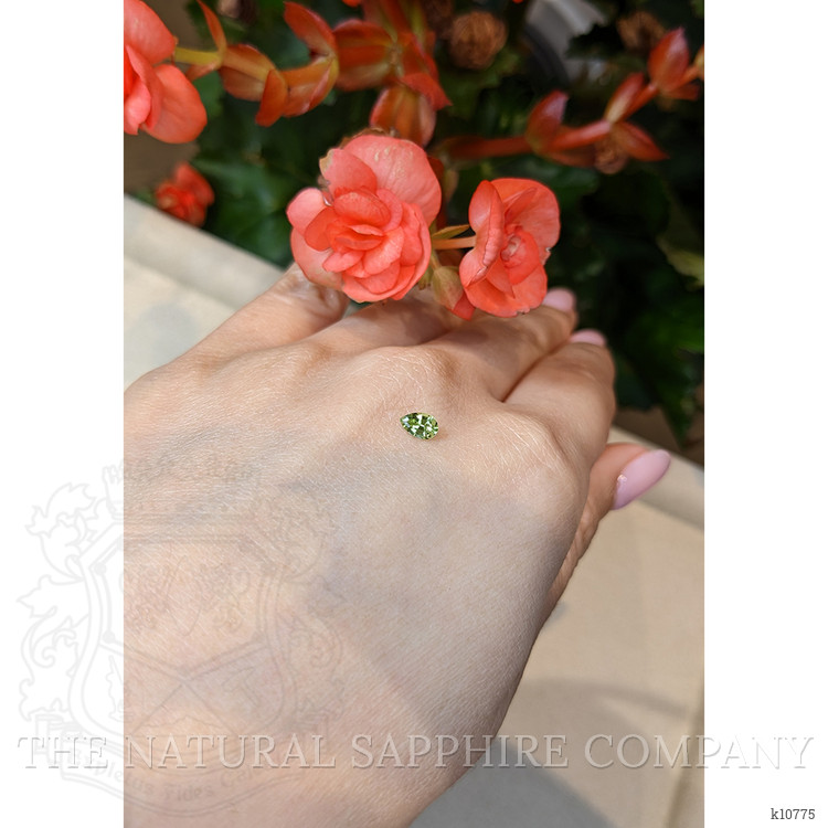 0.29 Ct. Tourmaline from Mozambique