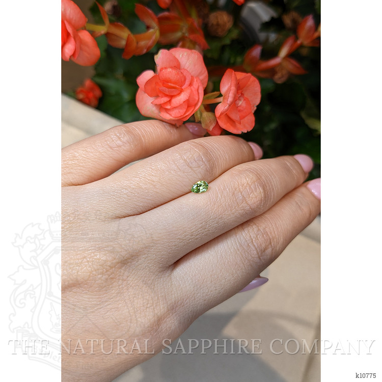 0.29 Ct. Tourmaline from Mozambique