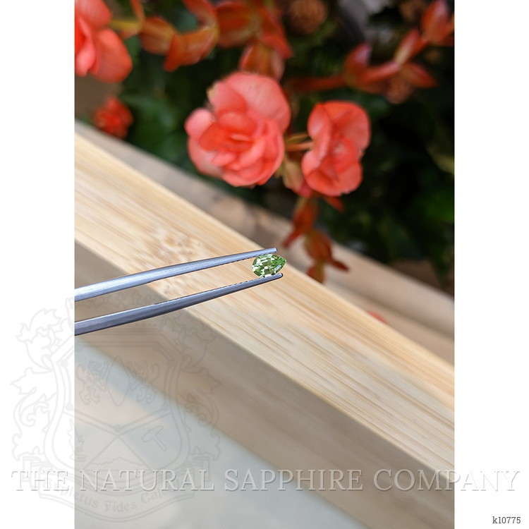 0.29 Ct. Tourmaline from Mozambique