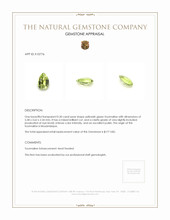 0.30 Ct. Tourmaline from Mozambique Appraisal