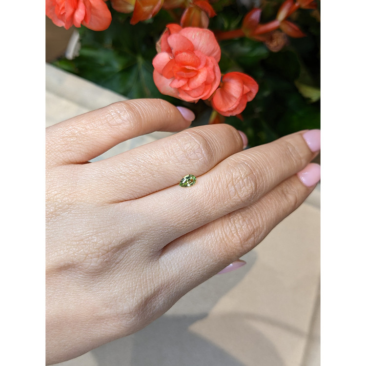 0.30 Ct. Tourmaline from Mozambique