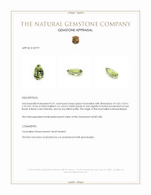 0.31 Ct. Green Tourmaline from Mozambique Appraisal