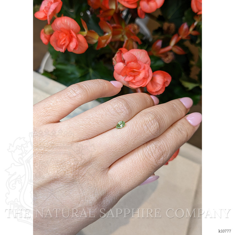 0.31 Ct. Tourmaline from Mozambique