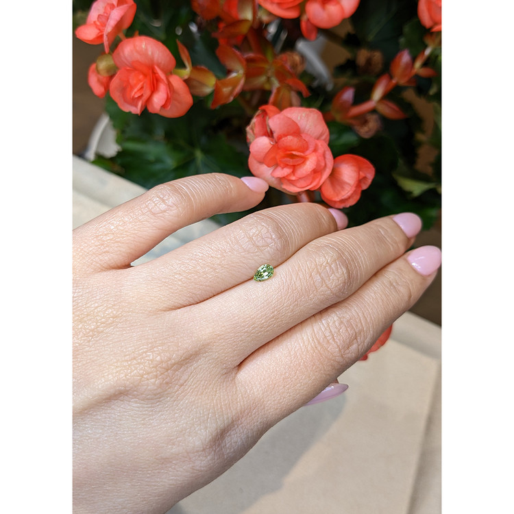 0.31 Ct. Tourmaline from Mozambique