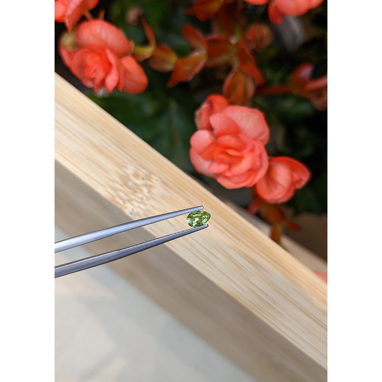 0.31 Ct. Tourmaline from Mozambique