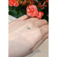 0.31 Ct. Tourmaline from Mozambique Life Style