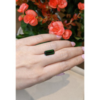 3.20 Ct. Tourmaline from Mozambique Life Style