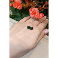 3.20 Ct. Tourmaline from Mozambique Life Style