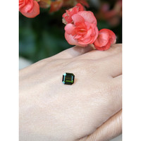 1.76 Ct. Tourmaline from Mozambique Life Style