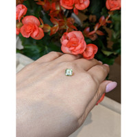 1.08 Ct. Tourmaline from Mozambique Life Style