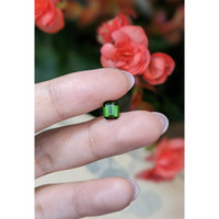 1.03 Ct. Tourmaline from Mozambique Life Style