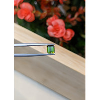 1.03 Ct. Tourmaline from Mozambique Life Style