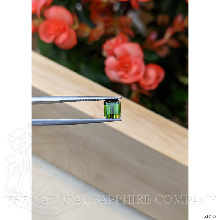 1.03 Ct. Tourmaline from Mozambique