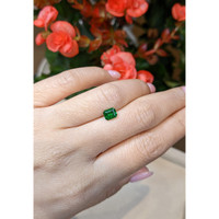 0.85 Ct. Chrome Tourmaline from Mozambique Life Style