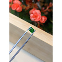 0.85 Ct. Chrome Tourmaline from Mozambique Life Style