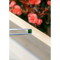 0.77 Ct. Chrome Tourmaline from Mozambique Life Style